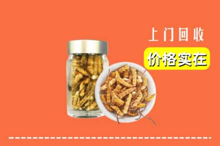 收购资讯:洛阳市吉利回收散虫草
