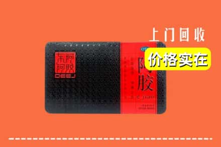 收购资讯:洛阳市吉利回收阿胶