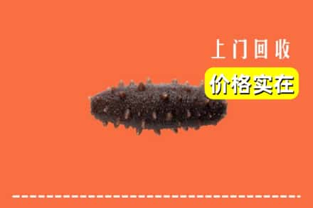 收购资讯:洛阳市吉利回收海参