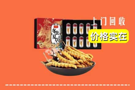 洛阳市吉利回收虫草