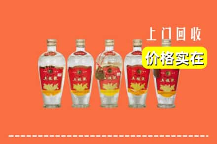 洛阳市吉利回收老五粮液